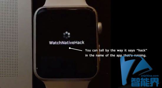 Apple Watch SDK被黑？