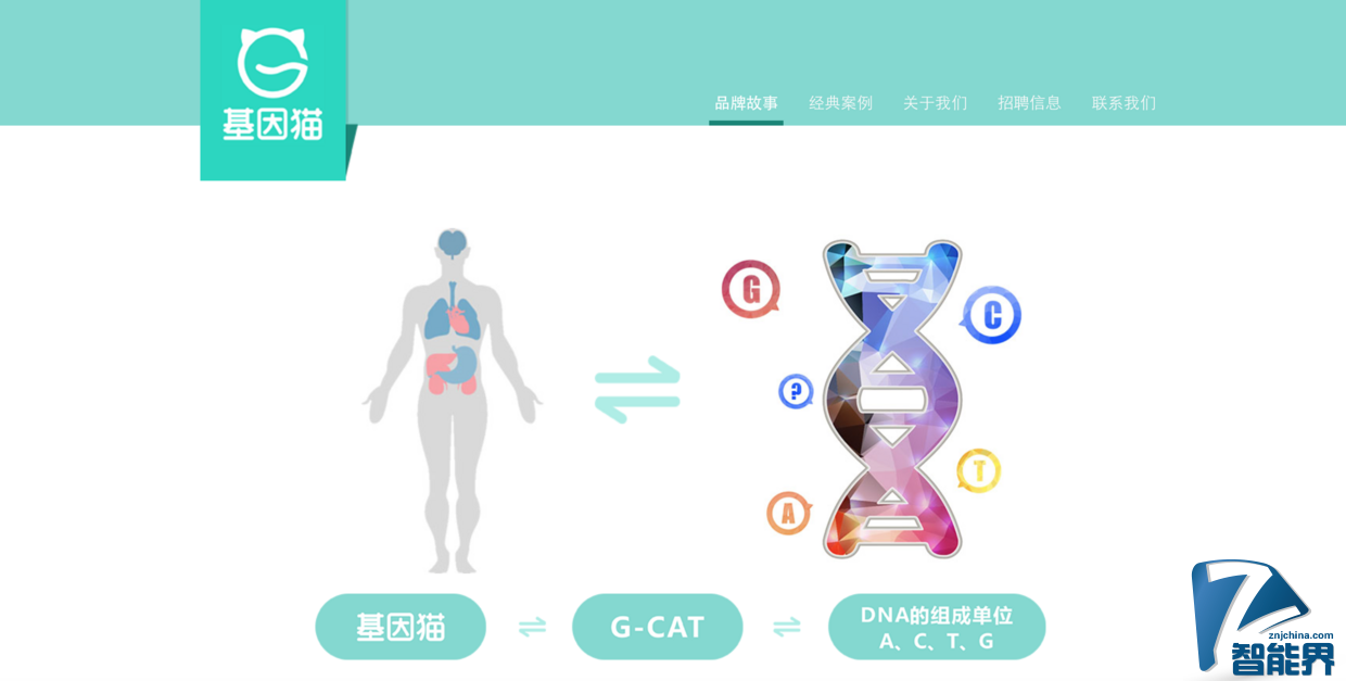 基因檢測可能要打價格戰(zhàn)了，全環(huán)節(jié)自研的 “基因貓” 能突圍而出嗎