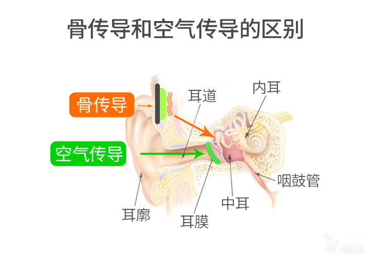 骨傳導(dǎo)和空氣傳導(dǎo)區(qū)別.jpg